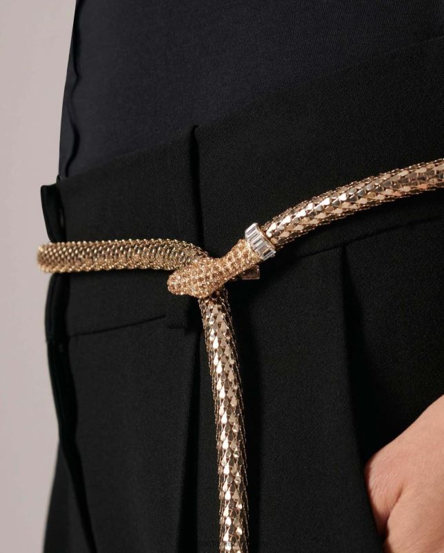 Anne Fontaine vrouwen isla riem metalen slangenriem accessoires wit goud 06TRT659